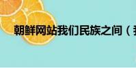 朝鮮網站我們民族之間(我們民族之間)