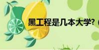 黑工程是幾本大學?(黑工程)