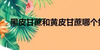 黑皮甘蔗和黃皮甘蔗哪個好(黑皮甘蔗)