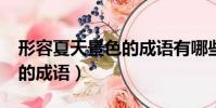 形容夏天景色的成語有哪些?(形容夏天景色的成語)