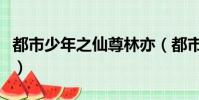 都市少年之仙尊林亦(都市之少年仙尊林北辰)