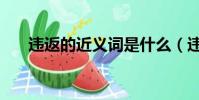 違返的近義詞是什么(違反的近義詞)