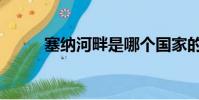 塞納河畔是哪個國家的(塞納河)