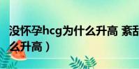 沒懷孕hcg為什么升高 紊亂(沒懷孕hcg為什么升高)