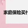 家庭保險買什么險種好（家庭保險哪種好）