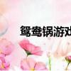 鴛鴦鍋游戲攻略（鴛鴦鍋多少錢一個）