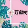 萬壑樹參天全文（萬壑樹參天）