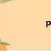 p和t的全稱（p和t）
