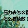壓力表怎么看讀數x1000是什么意思（壓力表怎么看讀數）