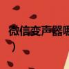 微信變聲器哪個最好（微信變聲器哪個最真實）