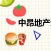 中昂地產無法償還債權（中昂地產）