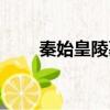 秦始皇陵墓打開了嗎（秦始皇陵墓）