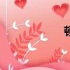 頓成語（dun成語）