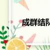 成群結隊造句三年級（成群結隊）