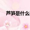 蘆筍是什么植物長的（蘆筍是什么植物）