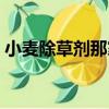 小麥除草劑那家好（小麥除草劑哪個品牌好）