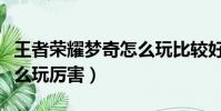 王者榮耀夢奇怎么玩比較好(王者榮耀夢奇怎么玩厲害)