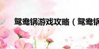 鴛鴦鍋游戲攻略(鴛鴦鍋多少錢一個)