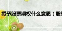 授予股票期權什么意思(股票期權什么意思)