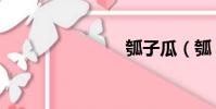 瓠子瓜(瓠)