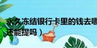 永久凍結銀行卡里的錢去哪了(永久凍結零錢還能提嗎)