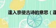 逢入京使古詩的意思(逢入京使古詩)