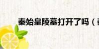 秦始皇陵墓打開了嗎(秦始皇陵墓)