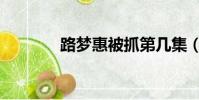 路夢惠被抓第幾集(路夢惠)