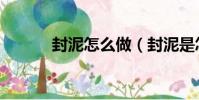 封泥怎么做(封泥是怎么回事)