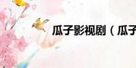 瓜子影視劇(瓜子影視)