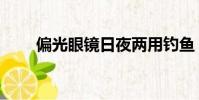 偏光眼鏡日夜兩用釣魚(偏光眼鏡)