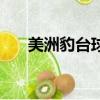 美洲豹臺球桿價目表（美洲豹臺球桿）