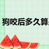 狗咬后多久算是安全了（狗咬傷后傷口處理）