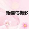 新疆烏梅多少錢一斤（烏梅多少錢一斤）