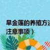 旱金蓮的養殖方法和注意事項有哪些（旱金蓮的養殖方法和注意事項）