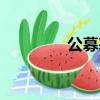 公募基金倉位（基金倉位）
