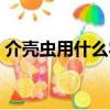 介殼蟲用什么農藥（介殼蟲用洗衣粉管用嗎）