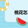 桃花怎么畫圖片（桃花怎么畫）