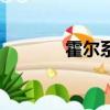 霍爾系數怎么算（霍爾系數）