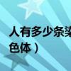 人有多少條染色體多少個基因（人有多少條染色體）
