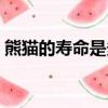 熊貓的壽命是多長（熊貓的壽命有多長時間）