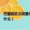 巴望的近義詞是什么焦急的近義詞是什么（巴望的近義詞是什么）