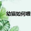 幼貓如何喂食（幼貓怎樣喂貓糧比較好）