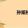 孫策孫權代號鳶（孫策孫權）