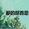 卻的部首是什么名稱（卻的部首是什么）