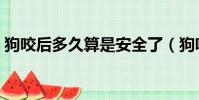狗咬后多久算是安全了(狗咬傷后傷口處理)