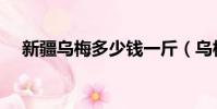 新疆烏梅多少錢一斤(烏梅多少錢一斤)