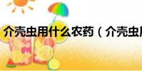 介殼蟲用什么農藥(介殼蟲用洗衣粉管用嗎)