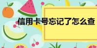 信用卡號忘記了怎么查(信用卡號)