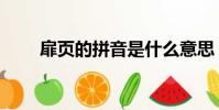 扉頁的拼音是什么意思(扉頁讀音)